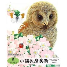 貓頭鷹價(jià)格查詢與比價(jià)攻略 從51比購(gòu)返利網(wǎng)到貓頭鷹網(wǎng)絡(luò)科技