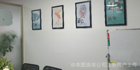 貓頭鷹網(wǎng)絡(luò)科技 洞察黑夜，引領(lǐng)未來(lái)